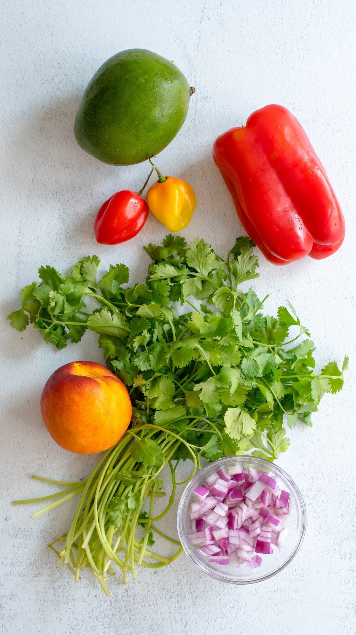 mango, peach, red bell pepper, habanero peppers, cilantro, red onion