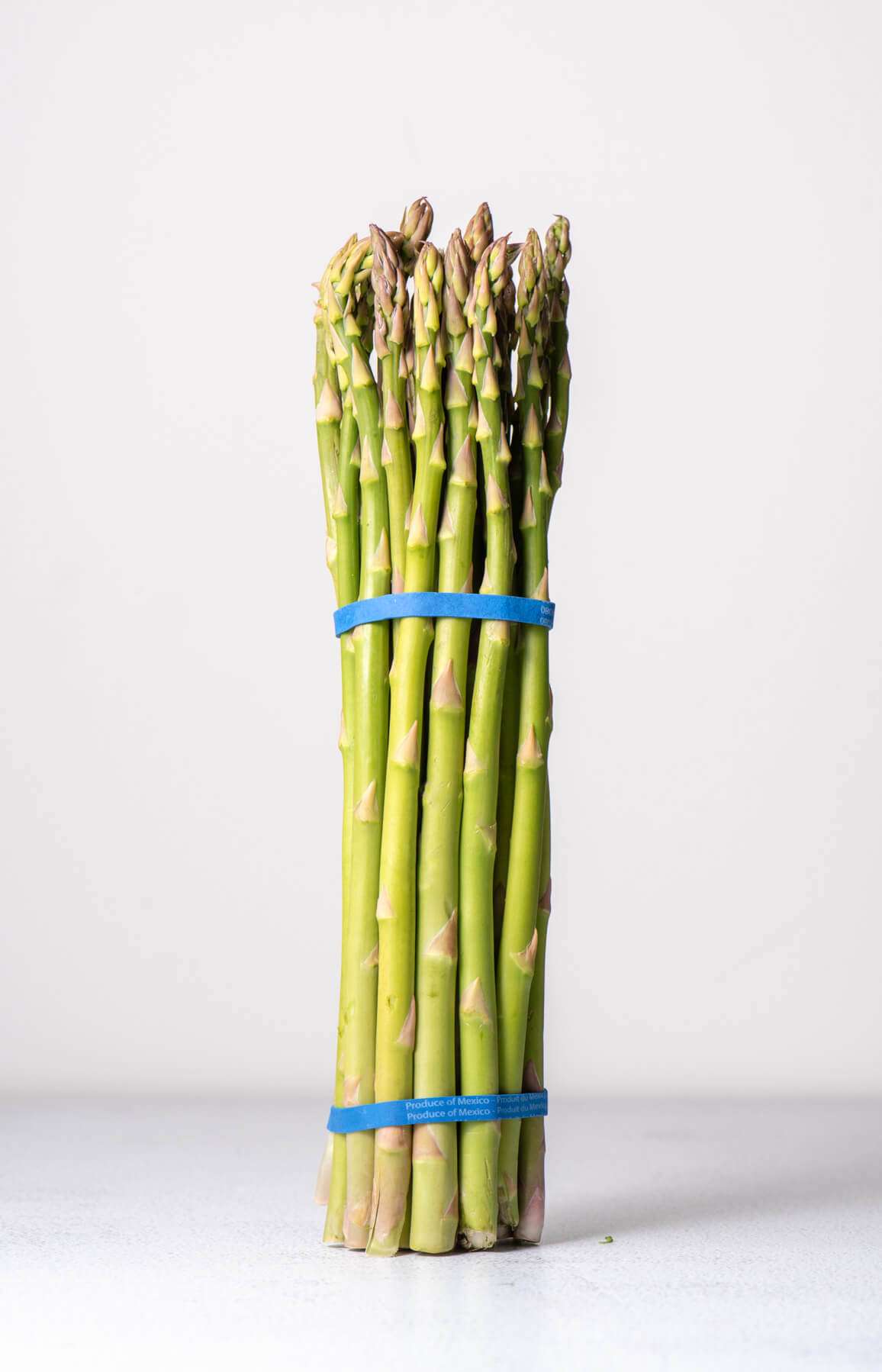 asparagus buch on a white background
